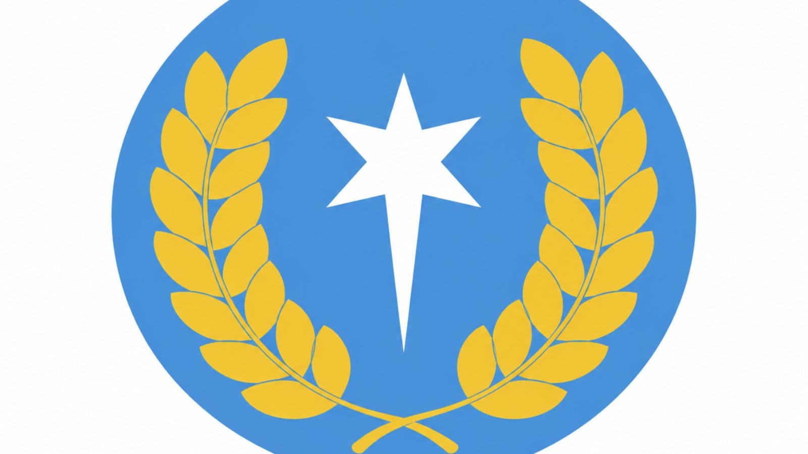 NSCM IM Logo flag