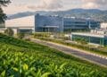 Japan looks at Assam for semiconductors, renewable energy, tea and tourism projects