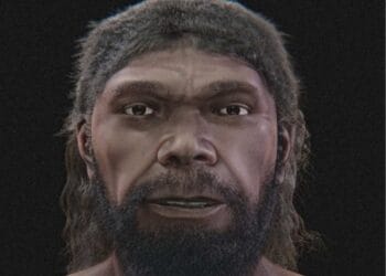 Scientists reconstruct face of 315,000-year-old Homo sapiens from Moroccan fossil