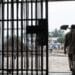 Jharkhand introduces open jail system allowing eligible inmates to work outside