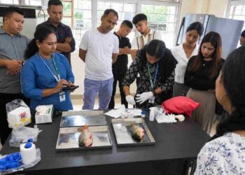 Meghalaya fisheries officers trained to detect formalin and ammonia in fish