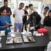 Meghalaya fisheries officers trained to detect formalin and ammonia in fish
