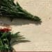 Meghalaya delegation discovers three more Garo graves in Malta cemetery